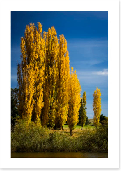 High country autumn