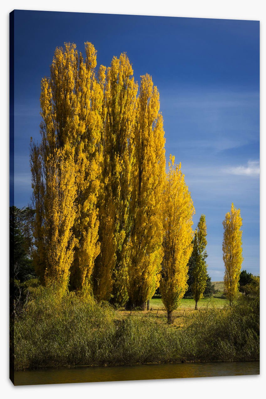 High country autumn