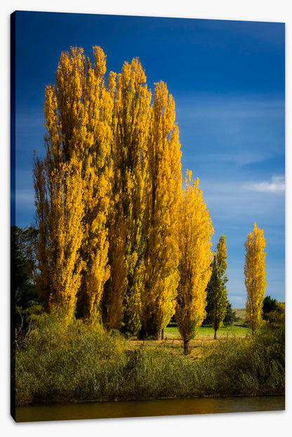 High country autumn