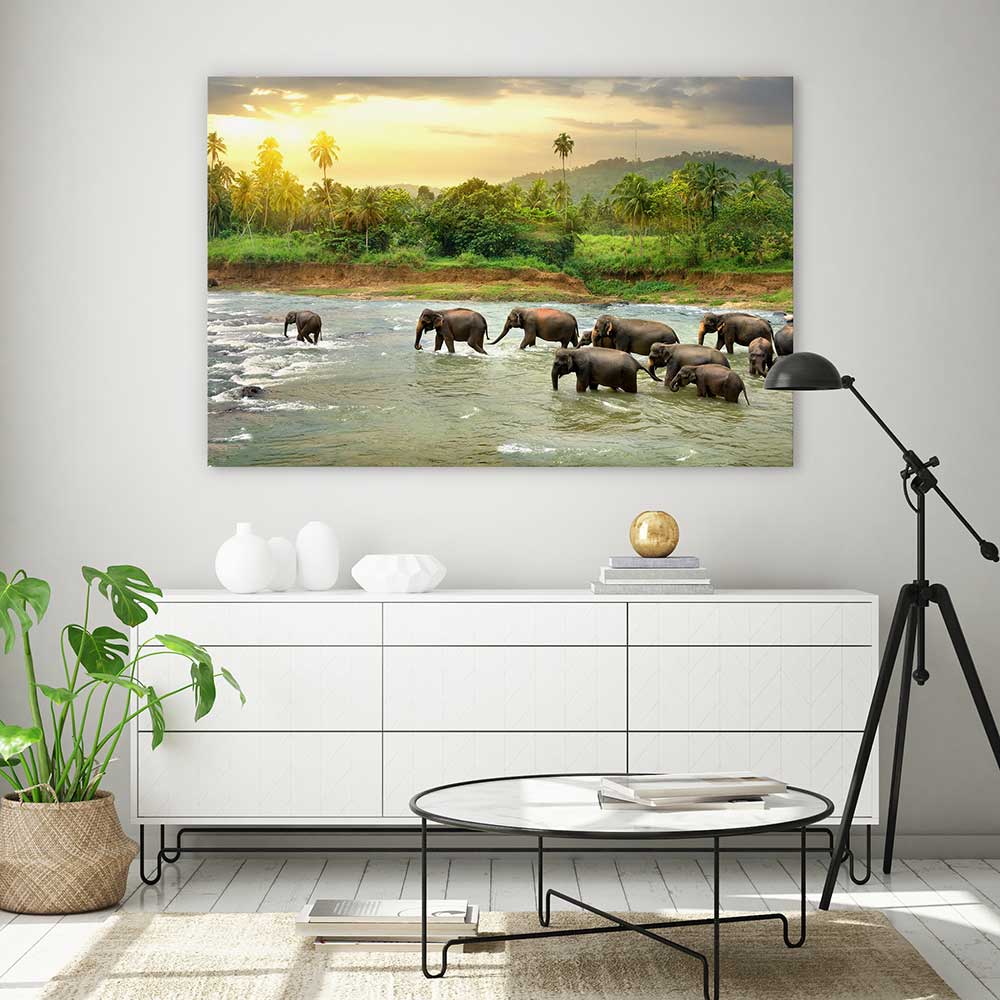 Elephant river
