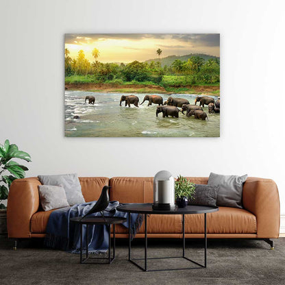 Elephant river