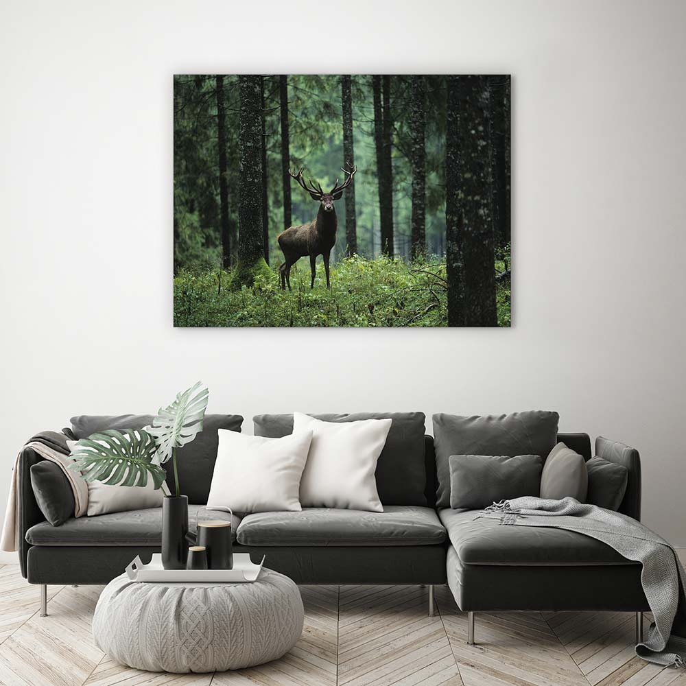 Deep forest deer
