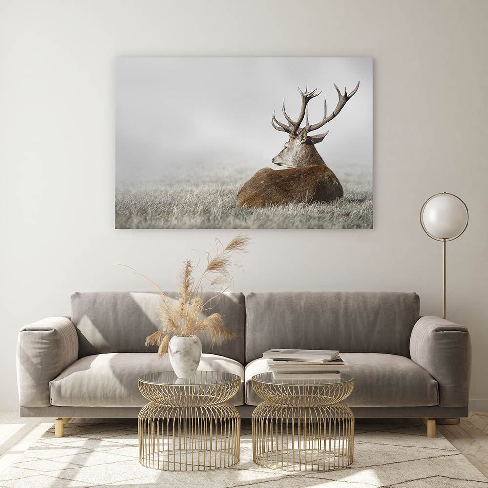 Stag in the fog