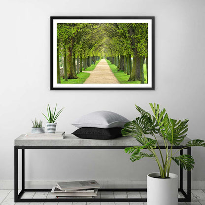Linden promenade