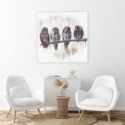 Owl rendez-vous