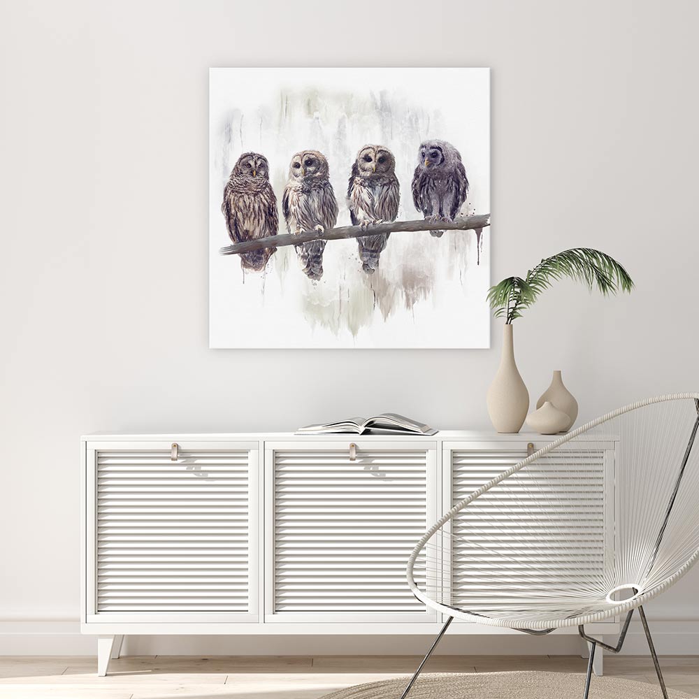Owl rendez-vous