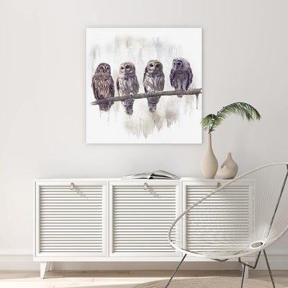 Owl rendez-vous