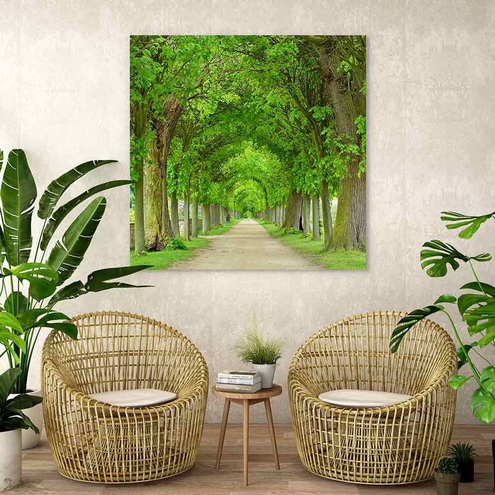 Green tree tunnel