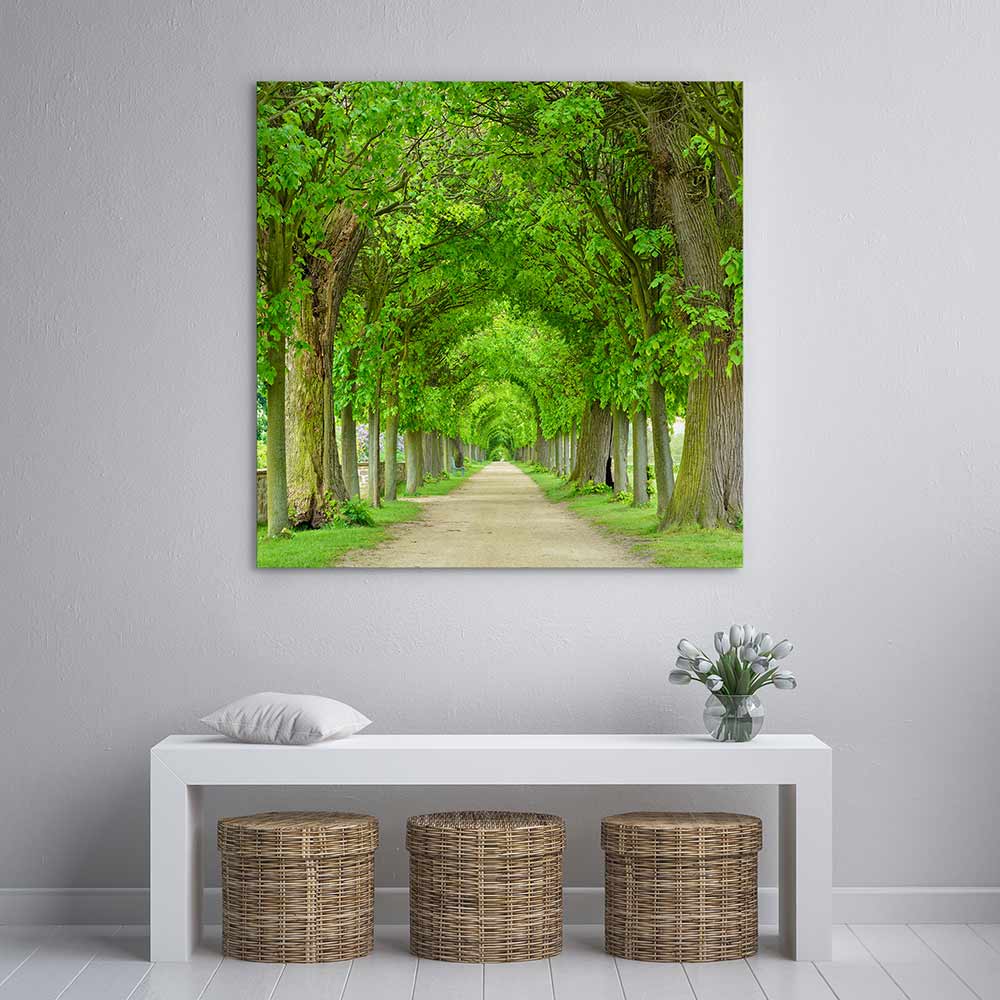 Green tree tunnel