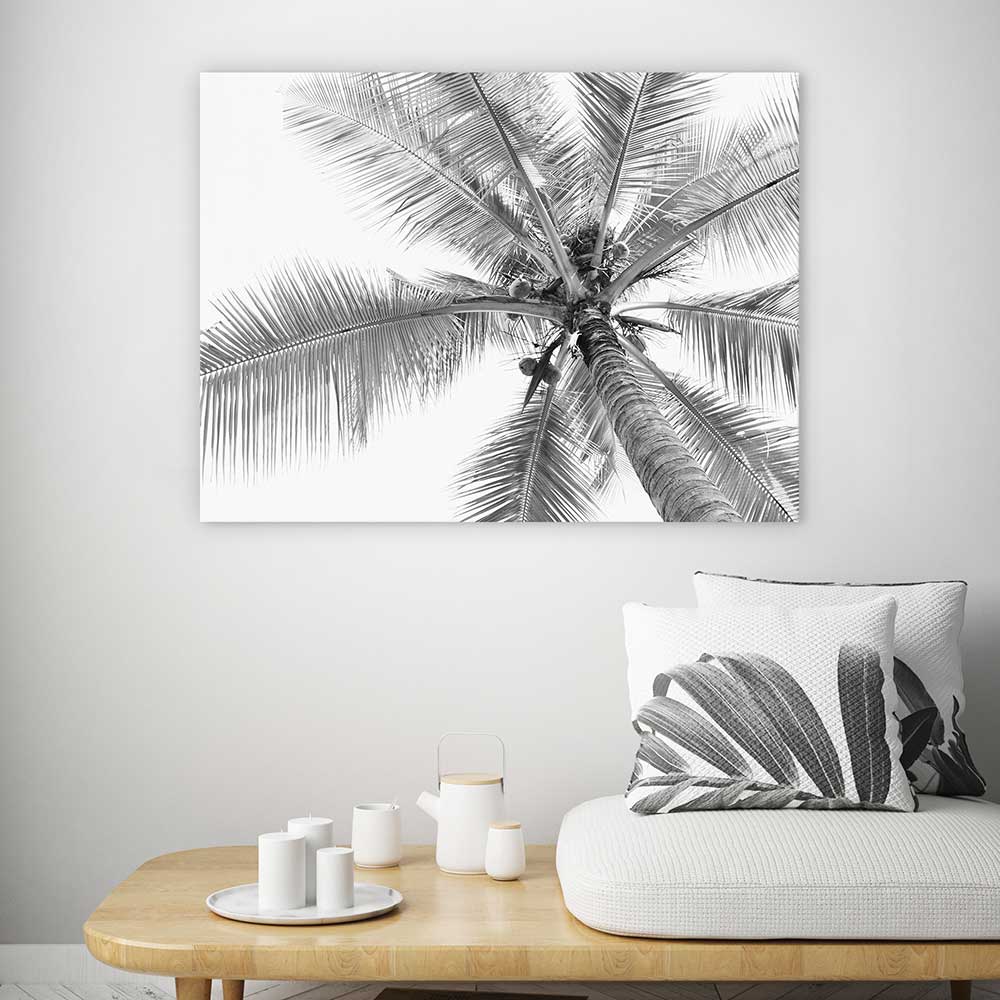 Coconut canopy