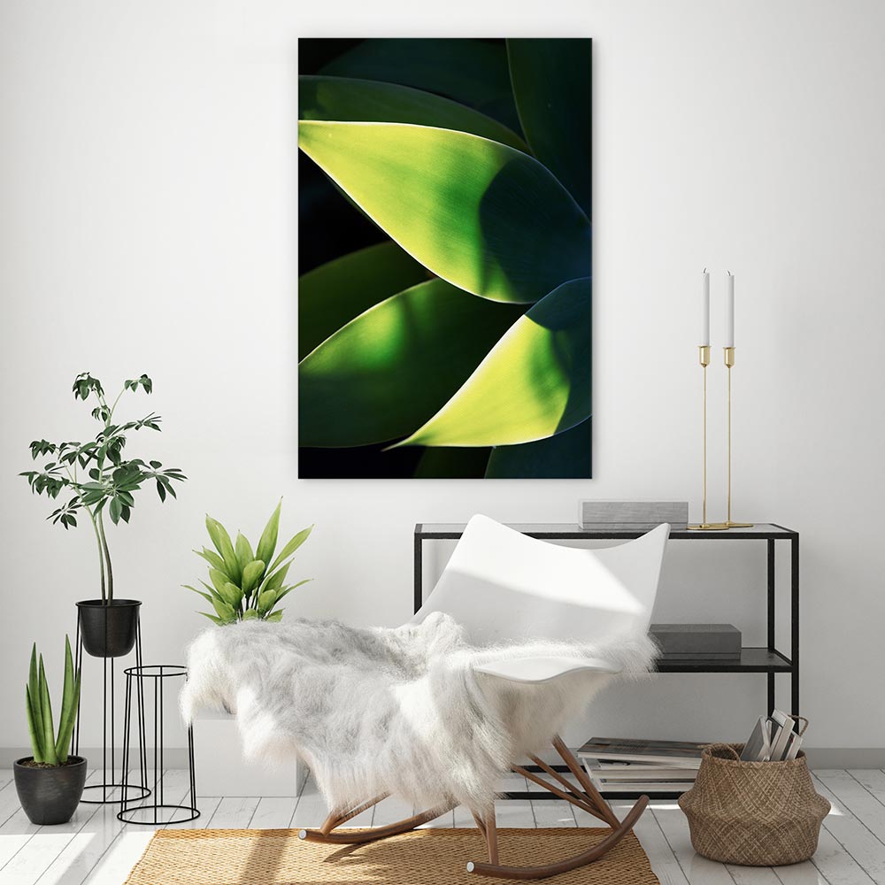 Abstract agave