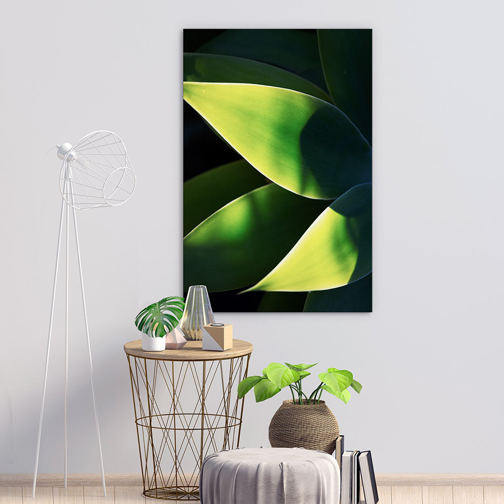 Abstract agave