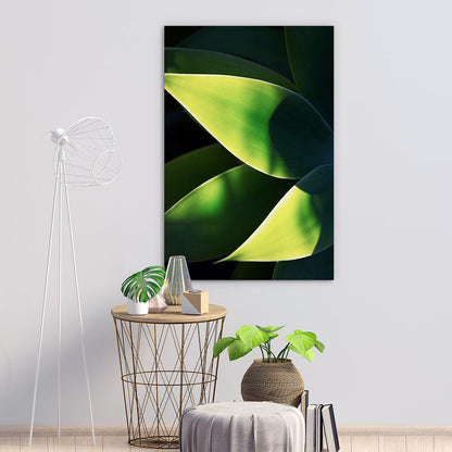 Abstract agave