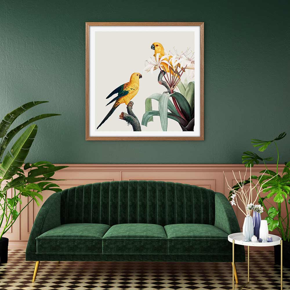 Feathered friends I