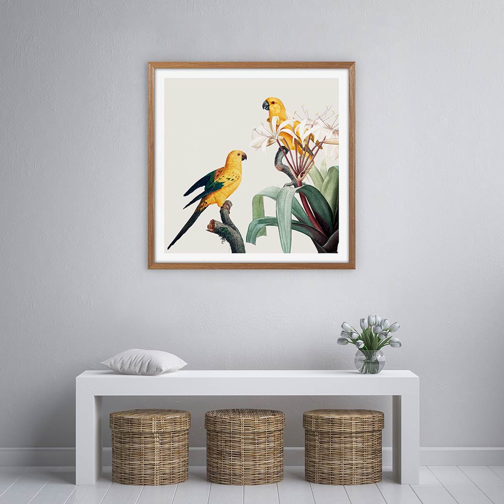 Feathered friends I