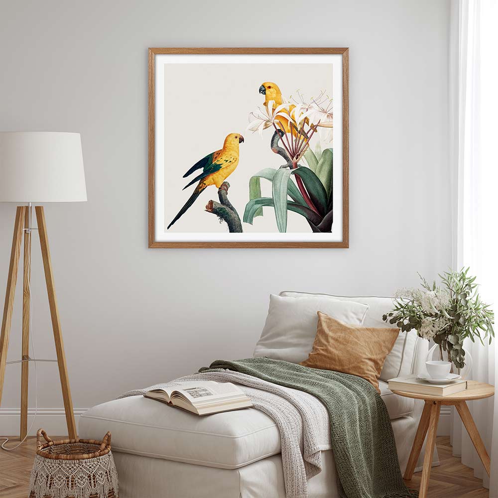 Feathered friends I