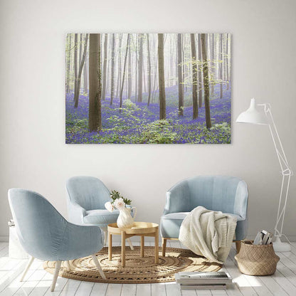 The bluebell forest