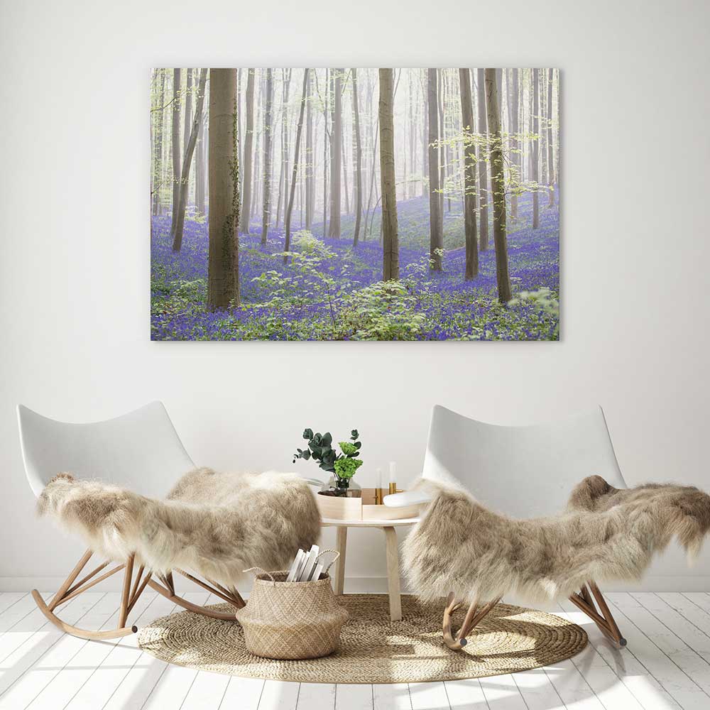 The bluebell forest