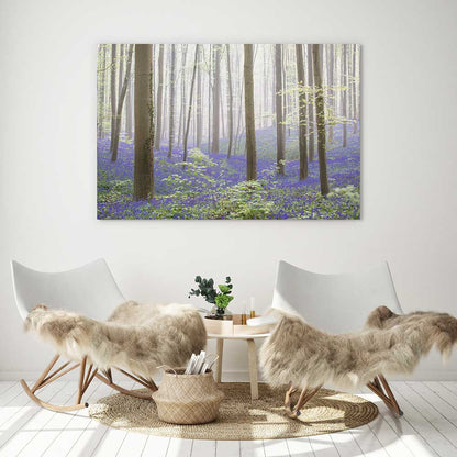 The bluebell forest