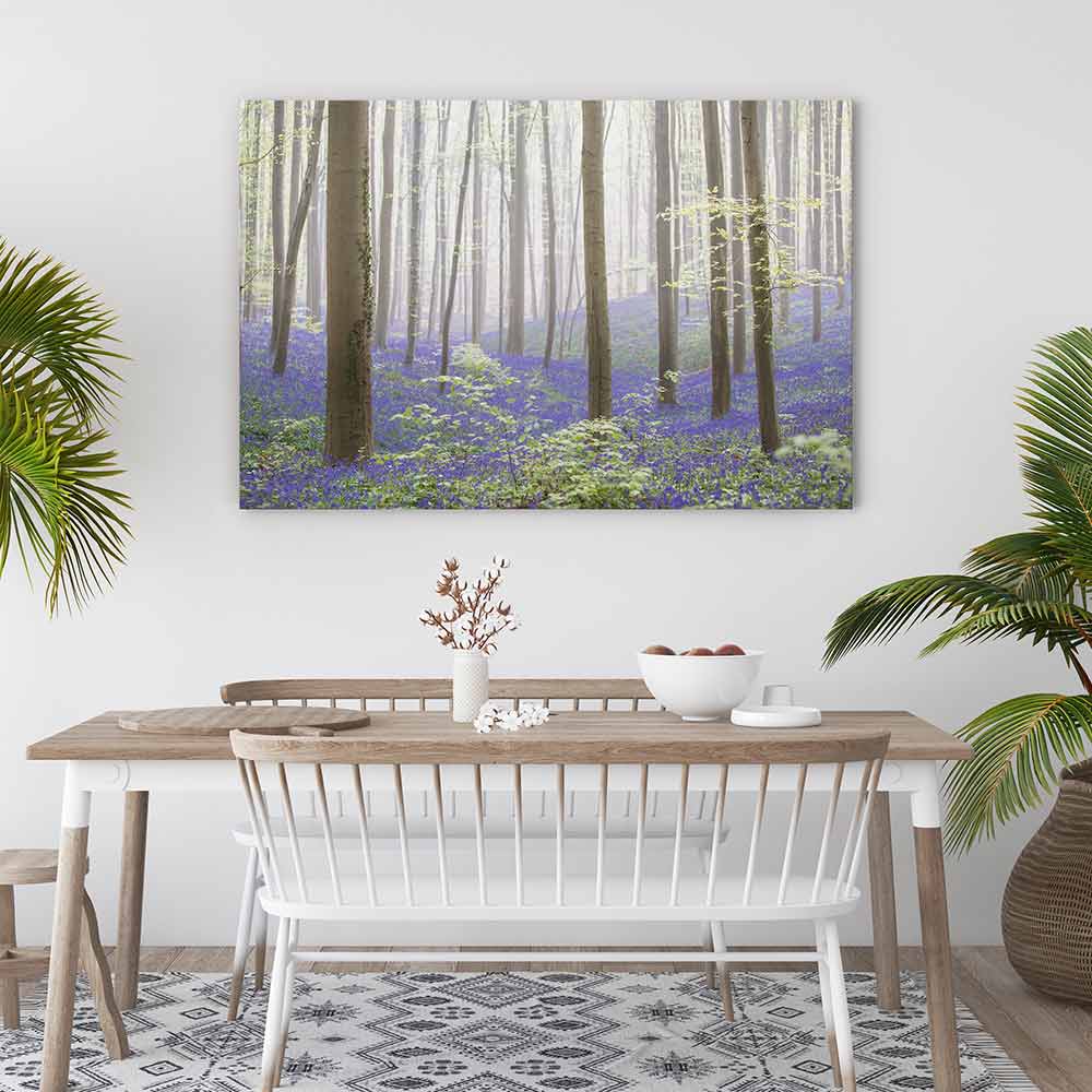 The bluebell forest