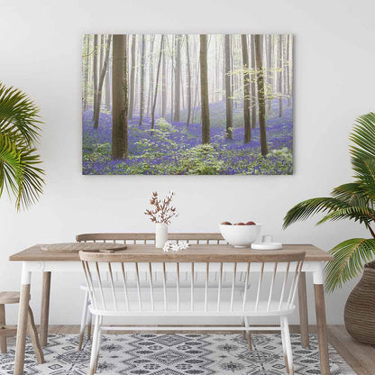 The bluebell forest