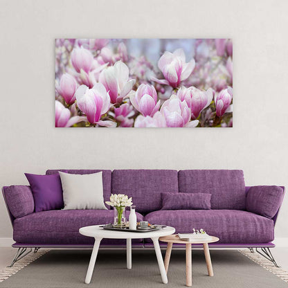 Magnolia mist