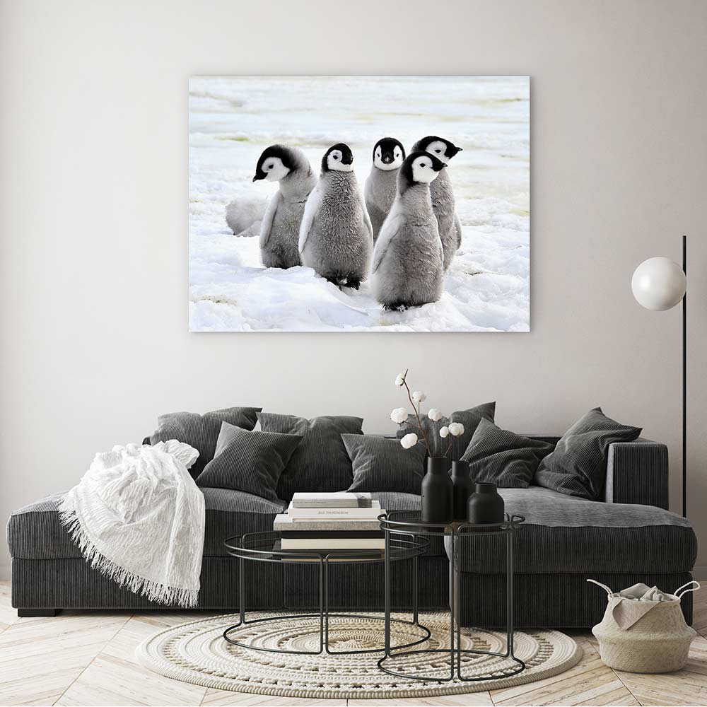 Penguin playdate