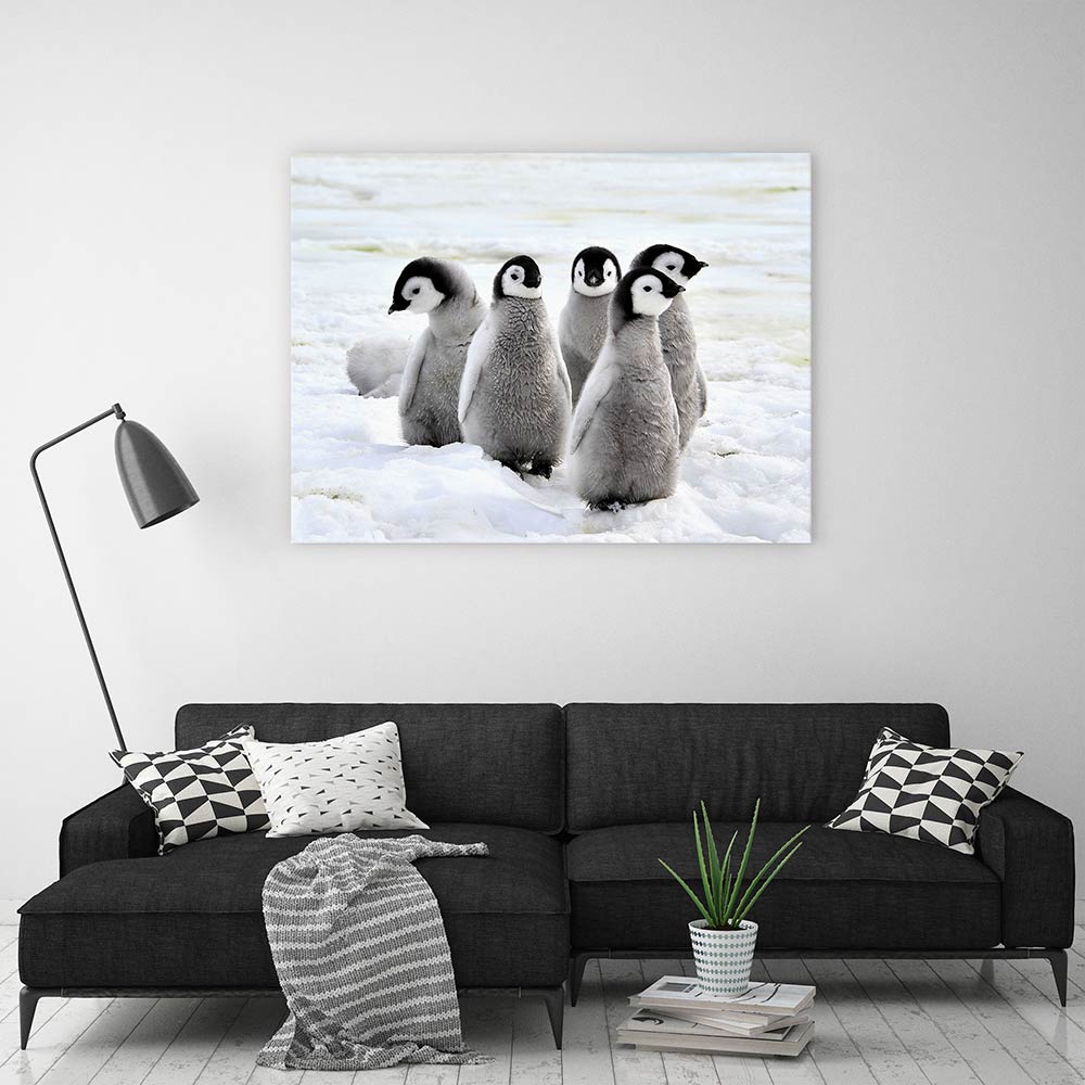 Penguin playdate