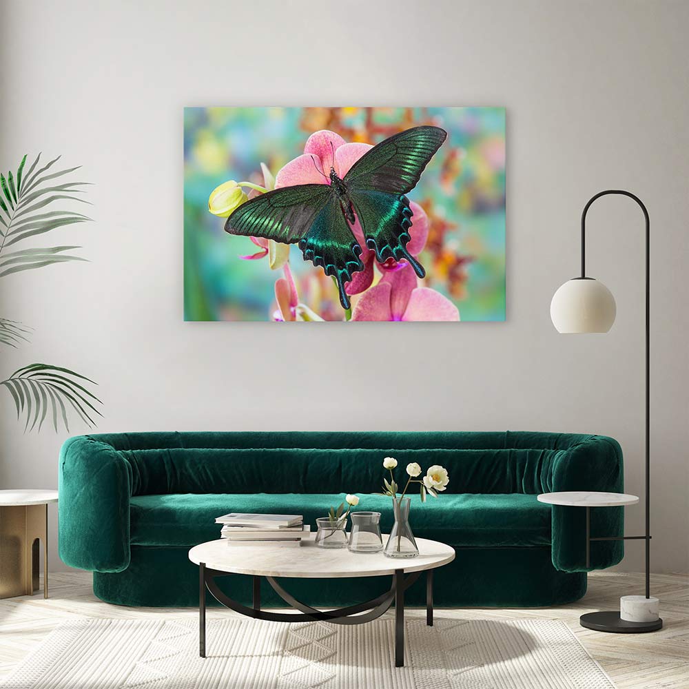 Alpine black swallowtail