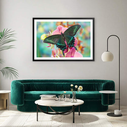 Alpine black swallowtail