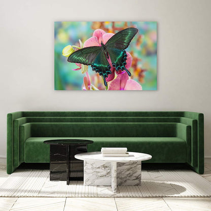 Alpine black swallowtail