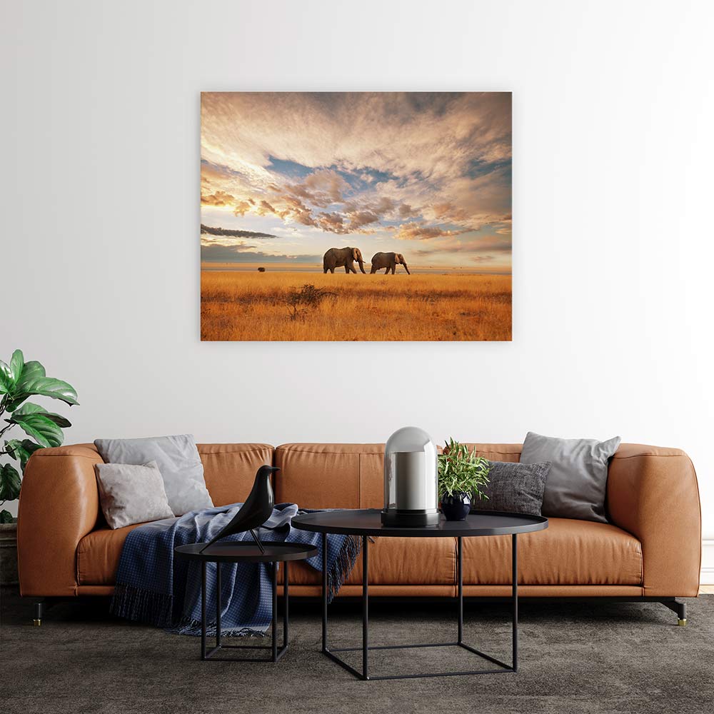 Safari for two