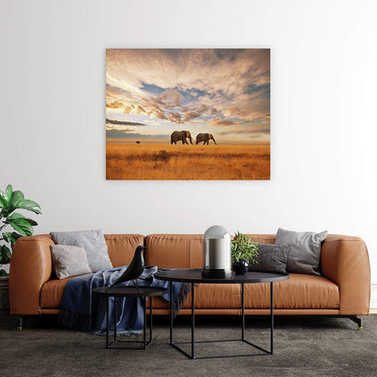 Safari for two