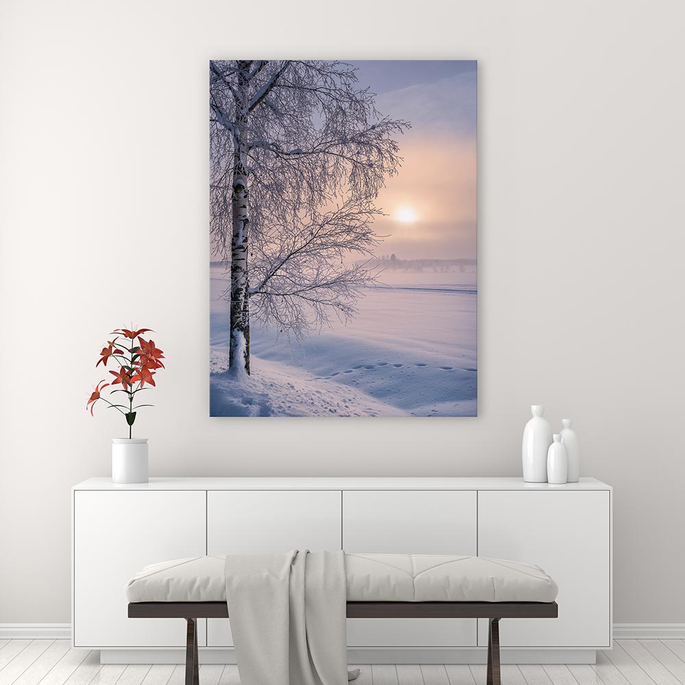 Soft winter sunrise