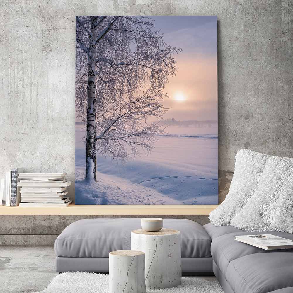 Soft winter sunrise