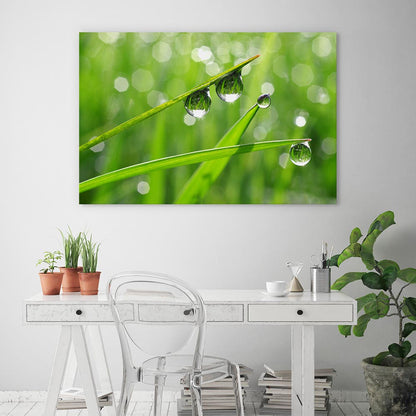 Dew drops