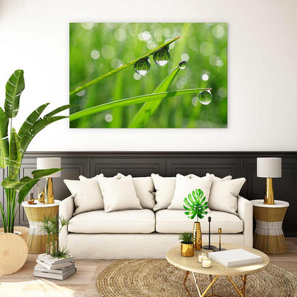 Dew drops