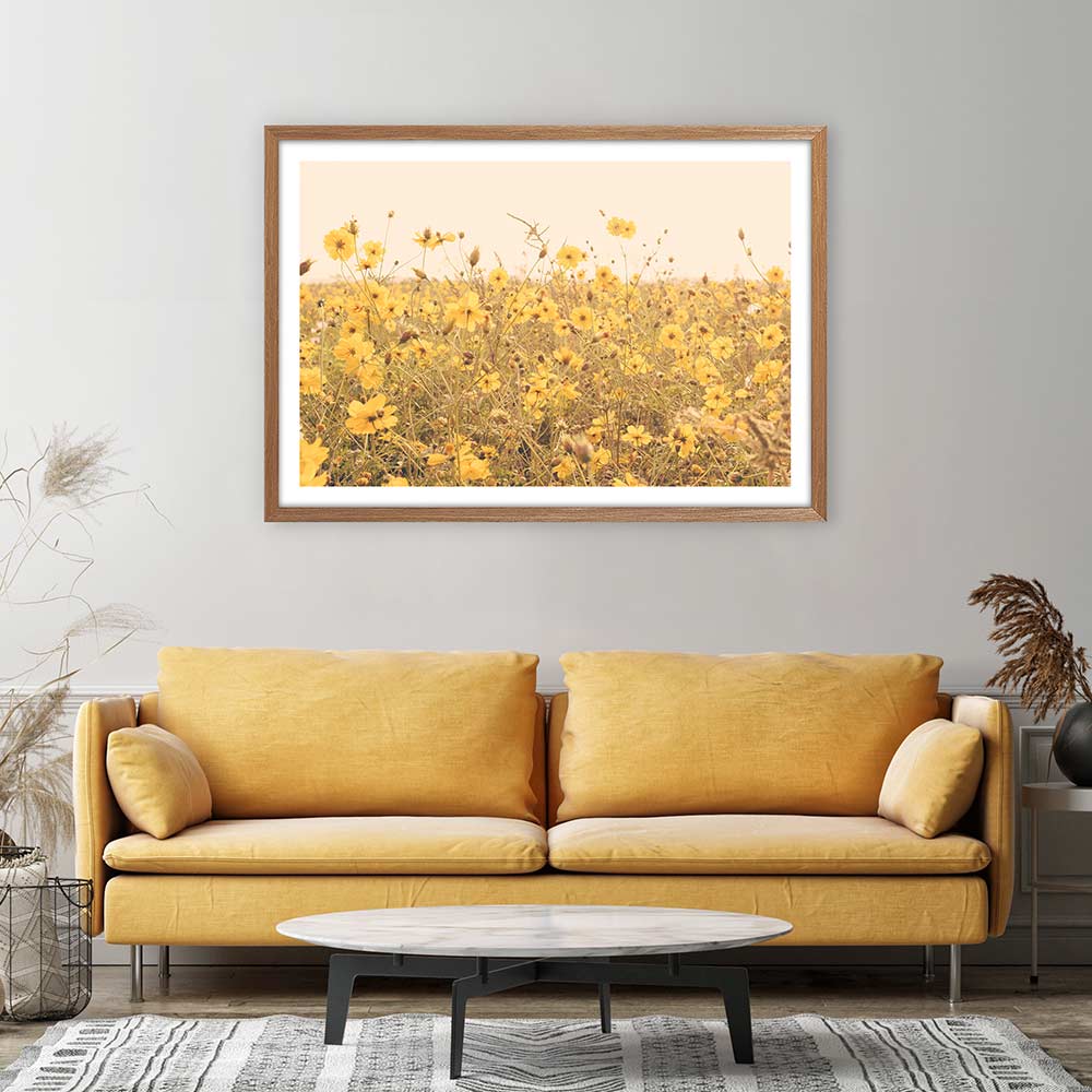 Yellow cosmos meadow