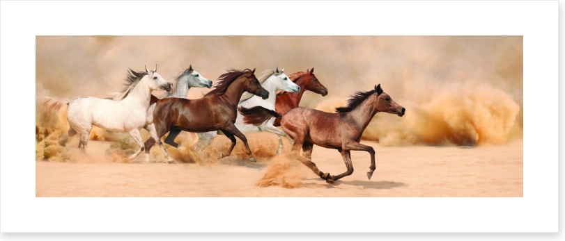 Galloping in the sand