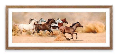 Galloping in the sand