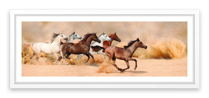 Galloping in the sand
