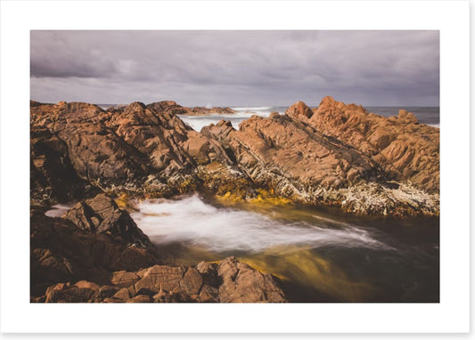 Caladenia_Bedhead_Landscape_Canvas_W90xH60_PinkRoom