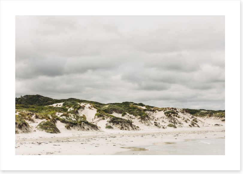 Pimelea_Bedhead_Landscape_Canvas_W90xH60_MasterBr