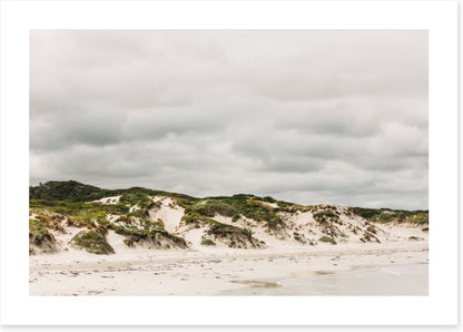 Pimelea_Bedhead_Landscape_Canvas_W90xH60_MasterBr