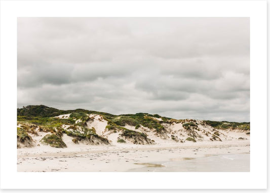 Pimelea_Bedhead_Landscape_Canvas_W90xH60_MasterBr