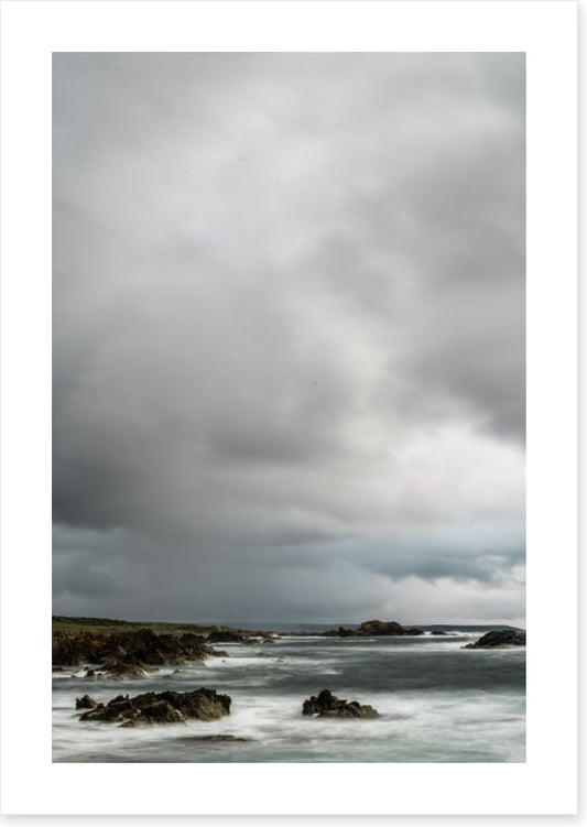 Caladenia_Wall_Portrait_Canvas_W60xH90_MasterBedWall