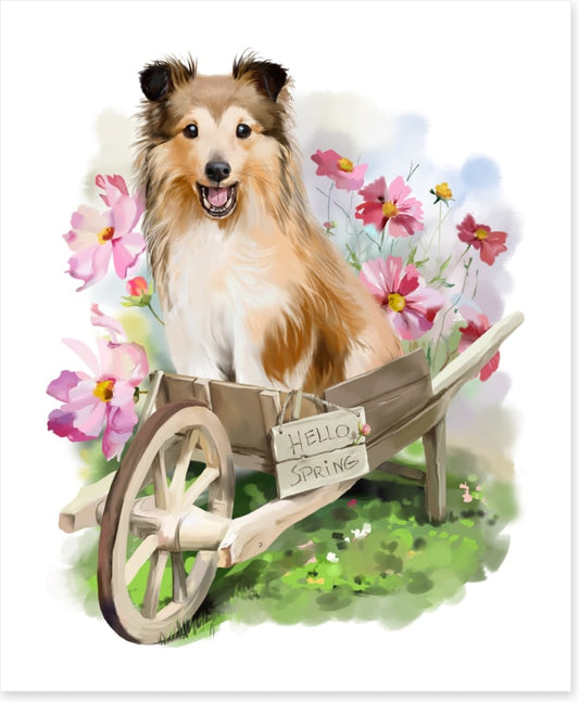 Spring puppy