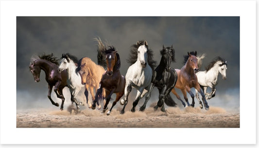 Eight galloping horses