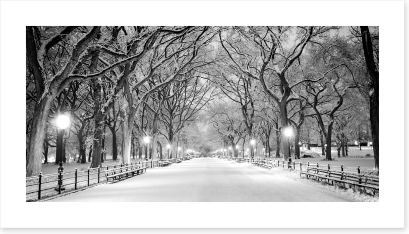 Snowy Central Park panorama