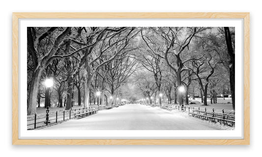 Snowy Central Park panorama